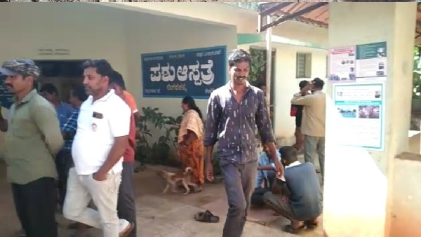 Baby Dies Due To Snakebite In Sakleshpura