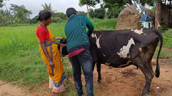 ಬಿಜೆಪಿ ಬಾಯಲ್ಲಿ ಗೋರಕ್ಷಣೆ ಎನ್ನುವುದು ಬರೀ ಬೂಟಾಟಿಕೆ