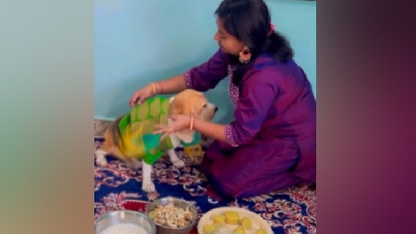 Video: Woman did Baby shower for pet Dog