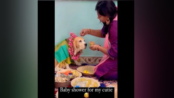Video: Woman did Baby shower for pet Dog