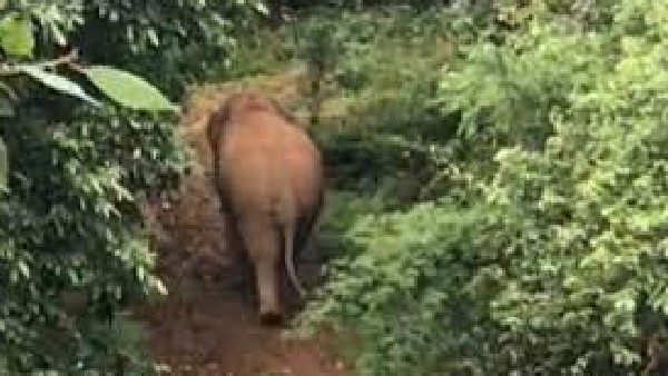  ಜನರು ಮನೆಯಿಂದ ಹೊರ ಬರಲು ಹಿಂದೇಟು 