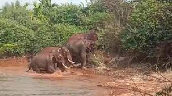  ಪರಿಹಾರ ಮೊತ್ತವನ್ನ 20 ಲಕ್ಷ ರೂ.ಗೆ ಹೆಚ್ಚಿಸಿ