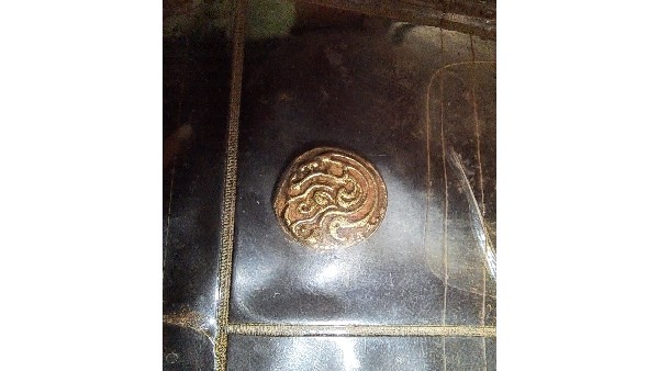 ಕೃಷಿಕನ ಬಳಿಯಿದೆ ದೇಶದ ಅತಿ ದೊಡ್ಡ ಅಡಿಕೆ 