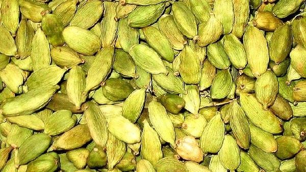 ಕಟ್ಟೆ ರೋಗ ಬರಲು ಕಾರಣವೇನು..?