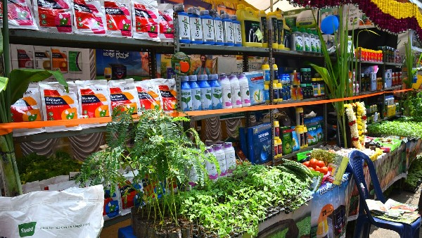 ರೈತರನ್ನು ಕೈ ಬಿಸಿ ಕರೆದ ಸೂರ್ಯಕಾಂತಿ