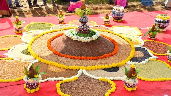 ಕುದುರೆ ಬಾಲ, ದೇವದಾರು ಸಸ್ಯಗಳ ಬಗ್ಗೆ ವಿದ್ಯಾರ್ಥಿಗಳಿಗೆ ಮಾಹಿತಿ