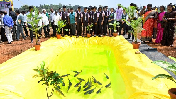 ಕೃಷಿ ಮೇಳದ ಮೆರಗು ಹೆಚ್ಚಿಸಿದ ರಾಗಿಯ ಅಲಂಕಾರ