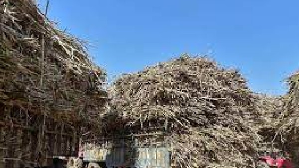 ಸರ್ಕಾರದ ವಿರುದ್ಧ ಕೆಂಪೂಗೌಡ ಕಿಡಿ 