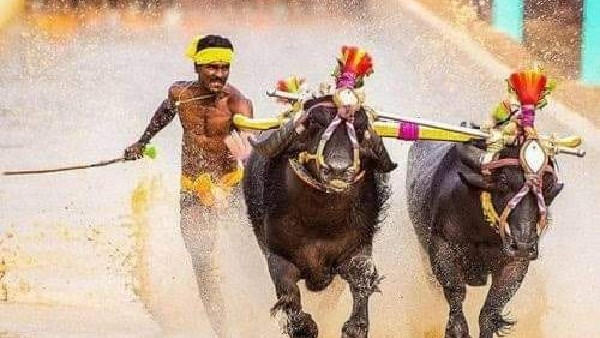 Mangaluru; Kambala star Srinivas is also recognized in advertising field 