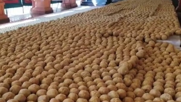 New year 2023: 2 lakh laddu ready for devotees at Narasimhaswamy temple of Mysuru New year 2023: 2 lakh laddu ready for devotees at Narasimhaswamy temple of Mysuru