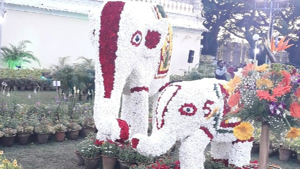 ಹೂವಿನಿಂದಲೇ ಸೃಷ್ಟಿಯಾದ ನಾನಾ ಕಲಾಕೃತಿ