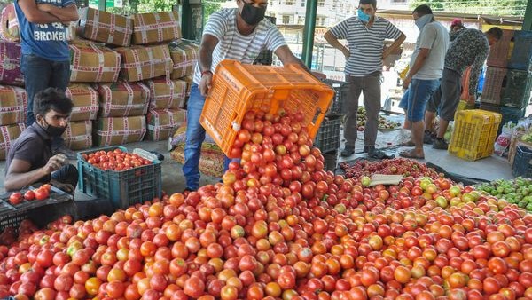 ಕೆಜಿಗೆ 5ರಿಂದ 6 ರೂಪಾಯಿಗೆ ಇಳಿದ ಟೊಮೆಟೊ ಬೆಲೆ 