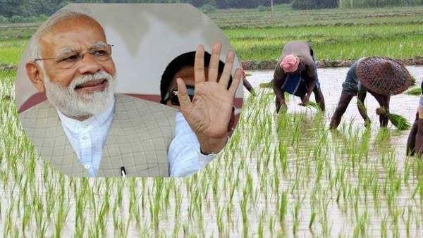 ಪ್ರಧಾನಮಂತ್ರಿ ಕಿಸಾನ್ ಸಮ್ಮಾನ್ ಯೋಜನೆ ಬಗ್ಗೆ ತಿಳಿಯಿರಿ 