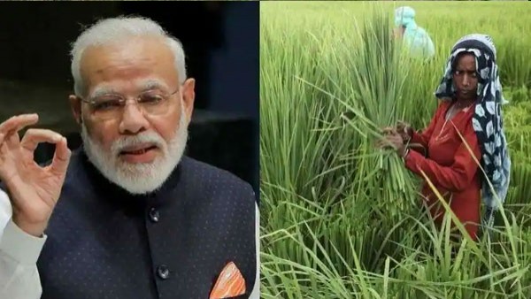 2000 Rs. of PM Kisan 13th Installment Is 6 Lakh Farmers Of Karnataka Will Get Doubtful 