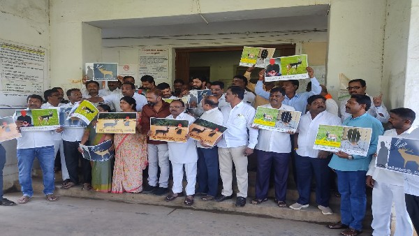 Wild Animals Found In Former Minister S.S Mallikarjuna Rice Mill
