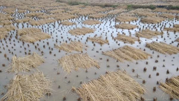 ಖುದ್ದಾಗಿ ಸ್ಥಳಕ್ಕೆ ತೆರಳಿ ಸಮೀಕ್ಷೆ ನಡೆಸುವಂತೆ ಅಧಿಕಾರಿಗಳಿಗೆ ಸೂಚನೆ