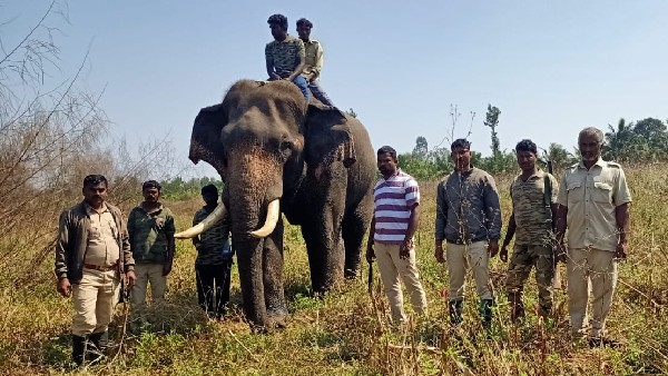 ಹೊಲಗದ್ದೆಗಳಲ್ಲಿ ಕೆಲಸ ಮಾಡಲು ರೈತರಿಗೆ ಆತಂಕ