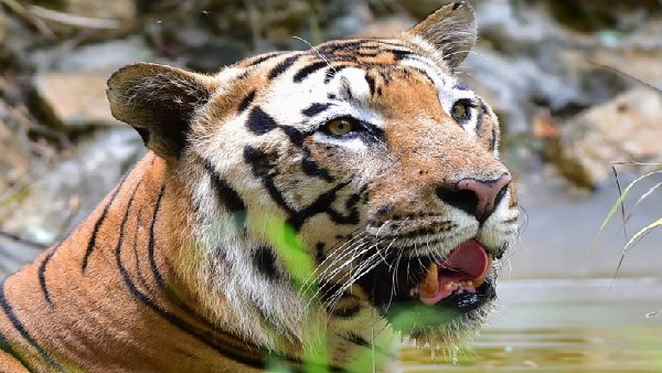  ಪ್ರಯಾಣಕ್ಕೆ ಯಾವ ಸಮಯ ಸೂಕ್ತ?