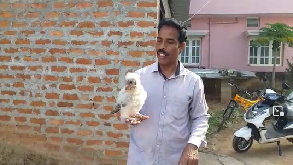 ಉರಗ ಪ್ರೇಮಿಯಾಗಿ ಗುರುತಿಸಿಕೊಂಡ ಆರ್.ಸುರೇಶ್