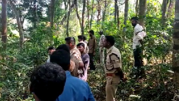 Wild Elephants Found In Chikkamagaluru Ganapatikatte Village