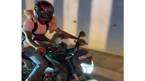 Amazing Cat Bike Ride: Viral Video