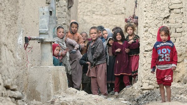 Almost 2 lakh livestok die in Afghanistan due to cold weather 