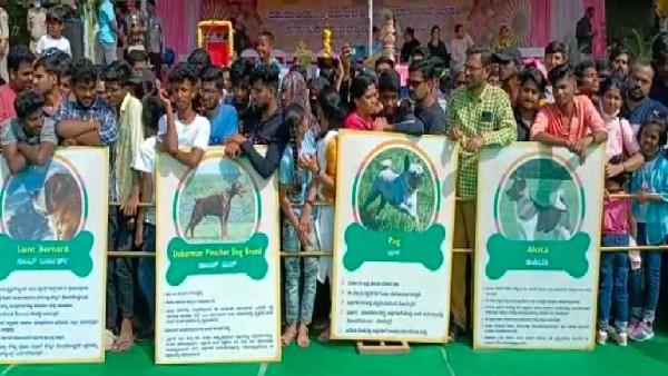  ಹೈದರ್ ಶ್ವಾನದ ವಿಶೇಷತೆ ಏನು?