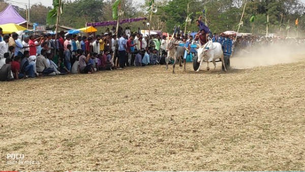ಜೋಡೆತ್ತು ಸ್ಫರ್ಧೆ ನೋಡಲು ನೆರೆದಿದ್ದ ನೂರಾರು ಮಂದಿ
