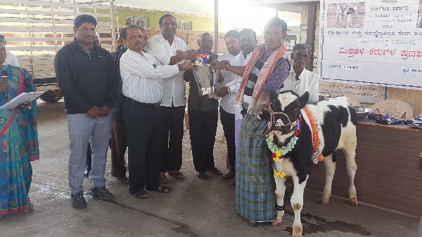  ಹಾಲು ಕಉತ್ಪಾದನೆ ಡಿಮೆ, ರೈತರಿಗೆ ಆತಂಕ