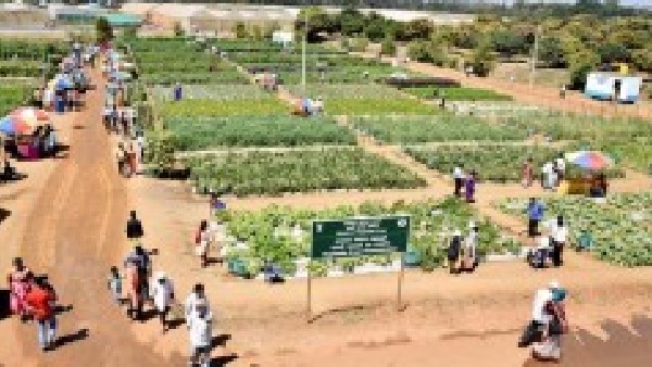 ಮತ್ಯಾ ಮೇಳದ ಸಂಪೂರ್ಣ ವಿವರ ಇಲ್ಲಿದೆ