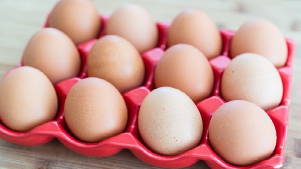 India Record export of eggs to Malaysia