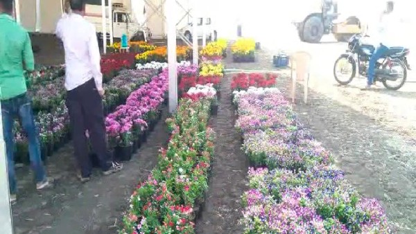  ಪುಷ್ಪಗಳಲ್ಲಿ ರಚನೆಯಾದ 25 ಕಲಾಕೃತಿಗಳು 