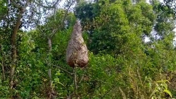 ಪ್ರಾಣವನ್ನು ಕೈಯಲ್ಲಿಡಿದುಕೊಂಡು ಓಡಾಡುವ ಜನರು