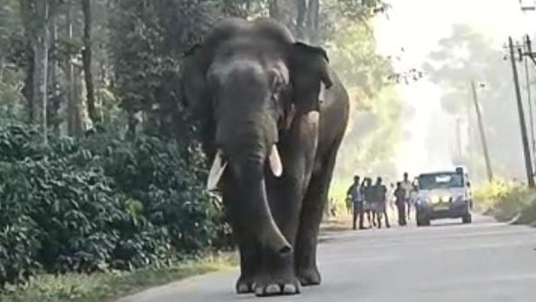  ಯಾವುದೇ ಪ್ರಾಣ ಹಾನಿ‌ ಮಾಡದ ಭೀಮಾ