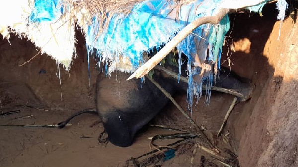 ಅರಣ್ಯ ಅಧಿಕಾರಿಗಳ ವಿರುದ್ಧ ಗ್ರಾಮಸ್ಥರ ಆಕ್ರೋಶ ಅರಣ್ಯ ಅಧಿಕಾರಿಗಳ ವಿರುದ್ಧ ಗ್ರಾಮಸ್ಥರ ಆಕ್ರೋಶ