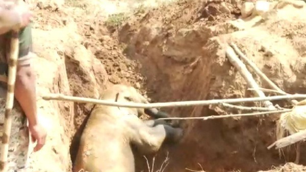 ಅರಣ್ಯಾಧಿಕಾರಿಗಳ ಭರವಸೆ ಮೇಲೆ ಜನರ ಒಪ್ಪಿಗೆ ಅರಣ್ಯಾಧಿಕಾರಿಗಳ ಭರವಸೆ ಮೇಲೆ ಜನರ ಒಪ್ಪಿಗೆ