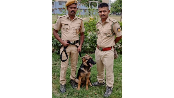 BRT Favourite Dog Jhansi Died In Road Accident