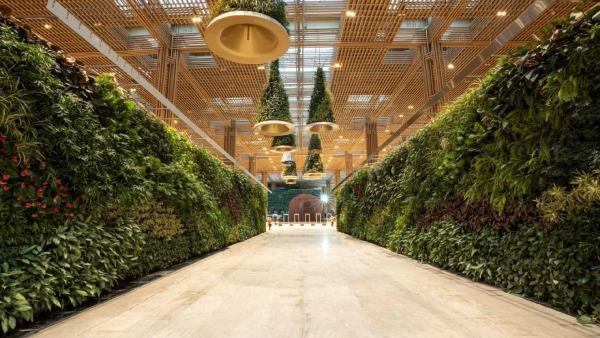 ಗಮನ ಸೆಳೆಯುವ ವಿನ್ಯಾಸ ಗಮನ ಸೆಳೆಯುವ ವಿನ್ಯಾಸ