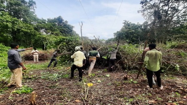 ಲಂಟಾನ ಕಿತ್ತೊಗೆಯಲು ಮುನ್ನುಡಿ ಬರೆದ ಡಿ.ಮಹೇಶ್ ಕುಮಾರ್