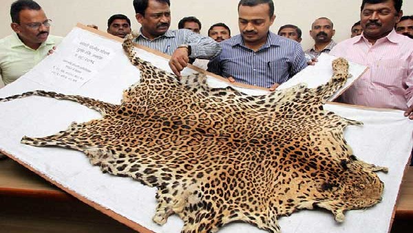 Karnataka States first wildlife forensic laboratory to be established in Bengaluru 
