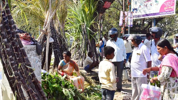 ಎಲ್ಲಾ ರೀತಿಯ ತರಕಾರಿ ಬೆಲೆಯ ವಿವರ 