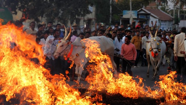 Makar Sankranti 2023: Mayor celebrated festival with pourakarmikas in Mysuru Makar Sankranti 2023: Mayor celebrated festival with pourakarmikas in Mysuru