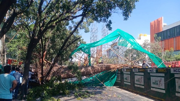 Bengaluru Metro Pillar Mishap: IISc expert report on metro pillar collapse