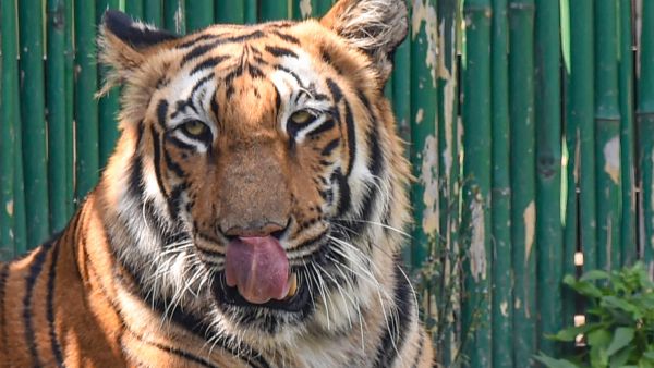 ಕರ್ನಾಟಕ, ಮಧ್ಯ ಪ್ರದೇಶ ರಾಜ್ಯಗಳು