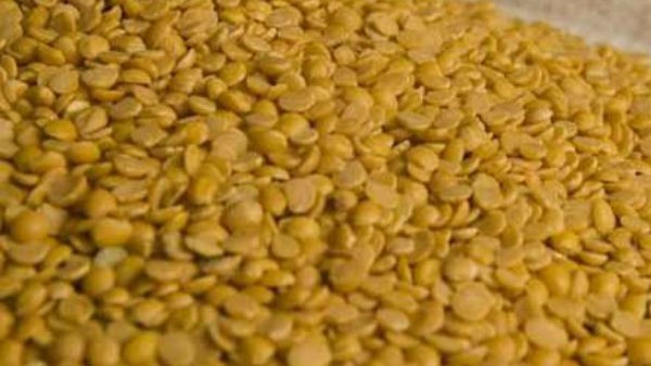 Central Government plan to importing 10 lakh tonnes of tur dal, do you know why?