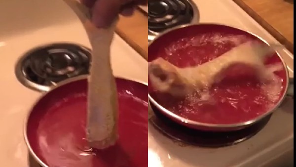 ತಲೆ ಇಲ್ಲದ ಮೀನಿಗೆ ಜೀವ ಬಂದಿದ್ದು ಹೇಗೆ?