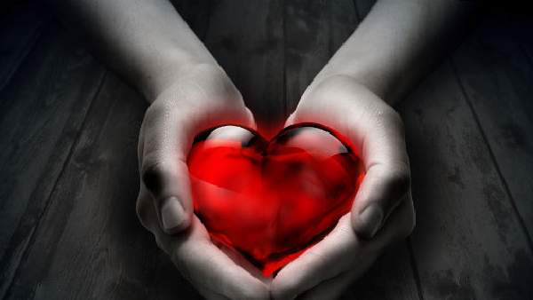 ಸಿಂಹ: ನಿಷ್ಠೆ ಮತ್ತು ಪ್ರೀತಿಗೆ ಹೆಸರುವಾಸಿ