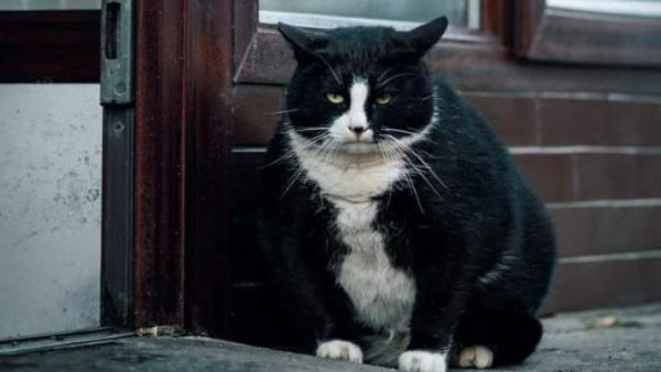 Google Map ನಲ್ಲಿ 5-ಸ್ಟಾರ್ ರೇಟಿಂಗ್