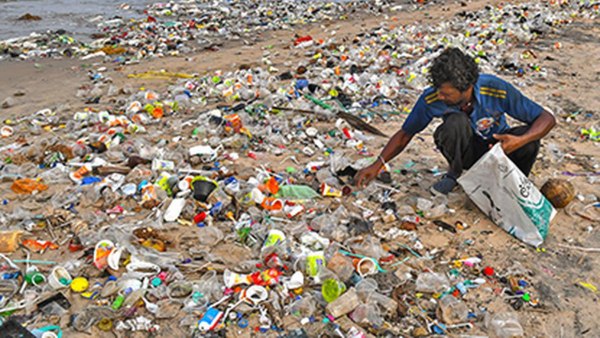 Andhra Pradesh: Court order to clean the beach for drunk drivers!