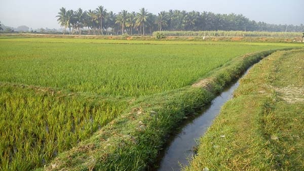 ನೀರಾವರಿ ಯೋಜನೆಗಳ ಅನುಷ್ಠಾನಕ್ಕೆ ಒತ್ತಾಯ